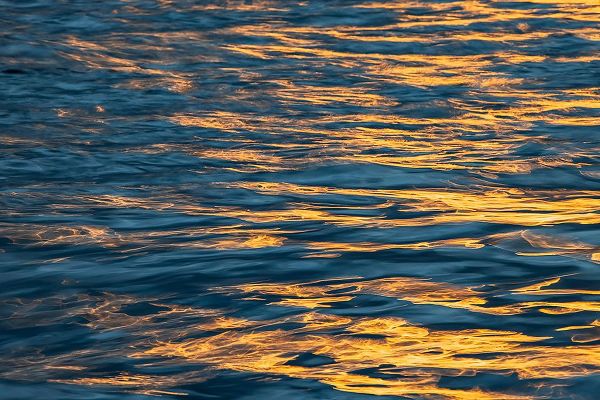 Jones, Adam 아티스트의 Sunset light on waters off Santa Cruz Island-Galapagos Islands-Ecuador작품입니다.